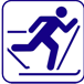 skiing