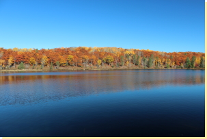 View of Beaver Pond north shore  2016-10-19