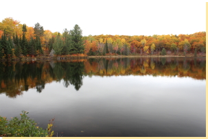 View western end of Beaver Pond from south shore 2016-10-14