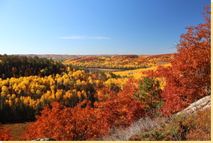 View southeast from east viewpoint on Loon-Beaver trail 2016-10-19