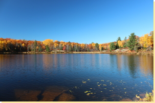 View west end Loon Lake from northeast shore 2016-10-19