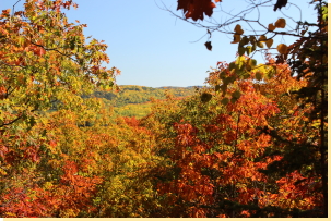 Maurice's Dream Hill south-west viewpoint 2016-10-11
