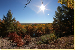 Fisheye view east from Ramblers Way north viewpoint 2016-10-11