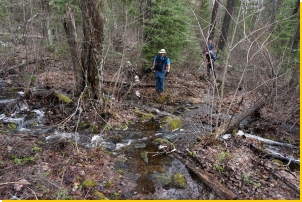 Spectacle Ridge Trail maintenance