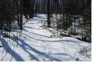 Bear Mtn trail - 2018-04-22