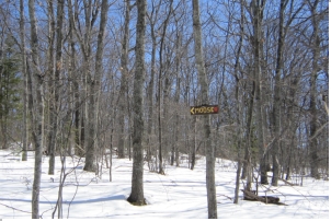 Loon-Beaver @ Moose - 2018-04-22