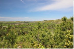Burnetts Mtn. NW viewpoint 2018-05-23