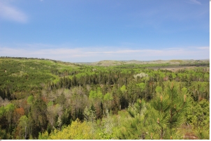 Burnetts Mtn. NW viewpoint 2018-05-23