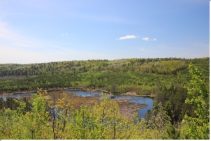 Burnetts Mtn. W viewpoint 2018-05-23