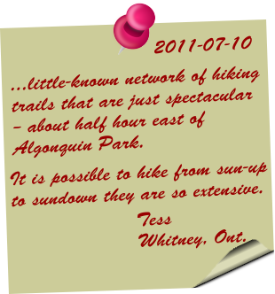 Testimonial 2011-07-10