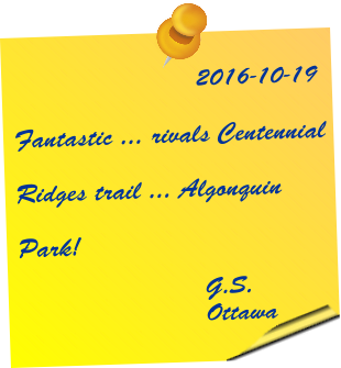 Testimonial 2016-10-19