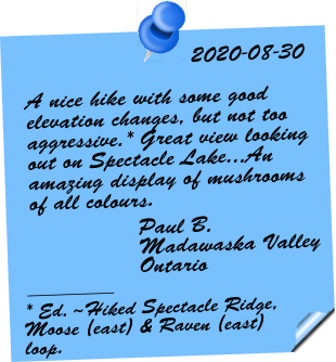 Testimonial 2020-08-30