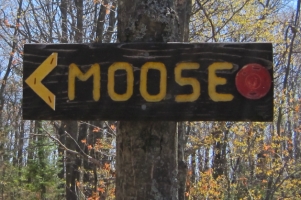 Trail Sign